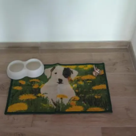 Apartment Colle Farina Zagarolo